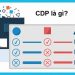 Dân marketing chuyên nghiệp cần biết CDP là gì?