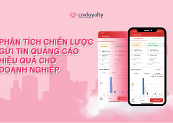 Phân Tích Chiến Lược Gửi Tin Quảng Cáo Hiệu Quả Cho Doanh Nghiệp