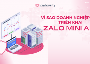 Vì Sao Doanh Nghiệp Cần Triển Khai Zalo Mini App?